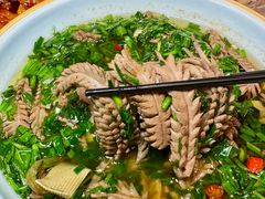 -北极阁公园