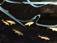 -同济大学四平路校区深海探索馆