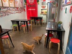 大堂-大王油茶(磁器口店)
