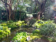 -Chom Cafe and Restaurant