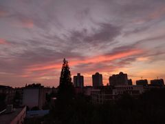 -上海市工商外国语学校