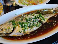 葱油深海黄鱼-丰收日(五角场店)