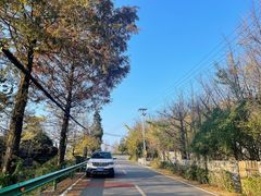 -山王坪喀斯特国家生态公园