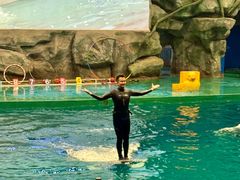 -威海华夏城景区