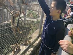 -石家庄市植物园