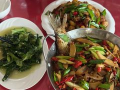 -明珠湖天鹅苑·农家菜馆