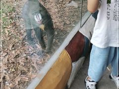 -东莞香市动物园