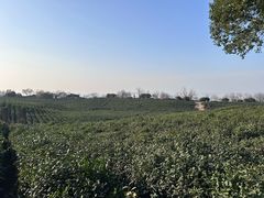 -南京市江宁方山
