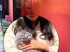 -猫色咖啡·猫咖