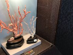 -绮丽珊瑚(台北101旗舰门市店)