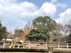-成都动物园