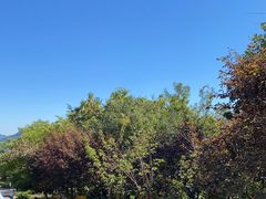 -北京鹫峰国家森林公园