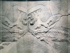 -甘肃地质博物馆