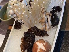 -盡膳口福跷脚牛肉火锅(北美新天地店)