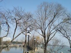 -无锡蠡湖国家湿地公园-蠡园