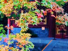 -香山公园