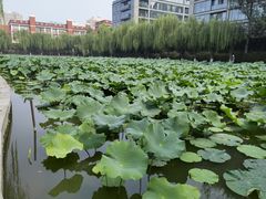 -中国农业博物馆