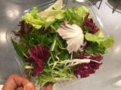 蔬菜沙拉-宜家·瑞典风味餐厅(北京西红门店)