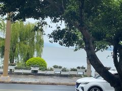 -野菌皇海景野生菌火锅(滨海大道店)