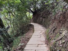 -青城山