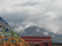 -丽江植物园