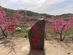 -北京金海湖景区