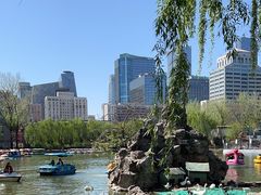 -团结湖公园