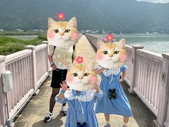 -大澳