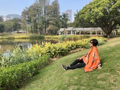 -四海公园(南山区)