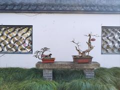 -上海醉白池公园