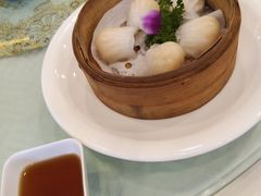 金牌虾饺皇-江南村酒家