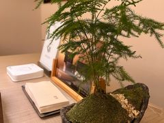 -隐溪茶馆(静安寺店)