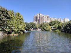 -荔湾湖公园