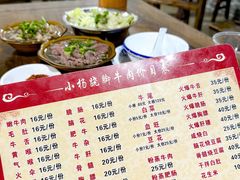 -小杨翘脚牛肉