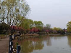 -西安浐灞国家湿地公园