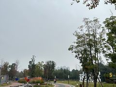 -三圣花乡旅游区