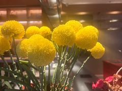 -庄子梦然·城市微度假·24h按摩·推拿·spa