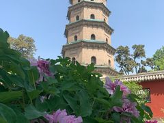 -晋祠公园