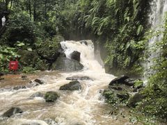 -赤水丹霞旅游区·佛光岩