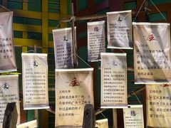 -西双版纳原始森林公园