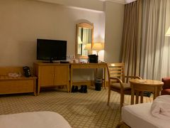 -南京维景国际大酒店(南京博物院店)