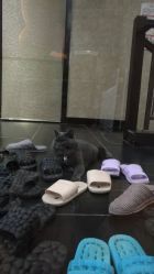 -威思丽高温瑜伽会馆
