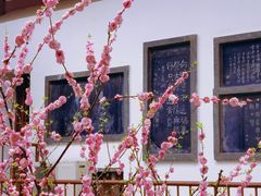 -西安青龙寺遗址景区