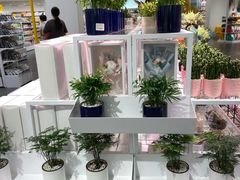 -KKV(深圳宏发大仟里店)