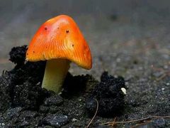 android_upload_pic-幸福蓝海国际影城(睢宁万象DTS:X临境音店)