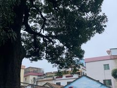 -小洲村