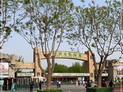 -北京野生动物园