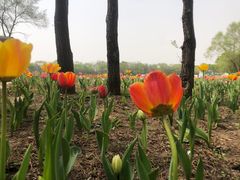 -北陵公园