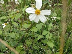 -白鹭湾湿地公园