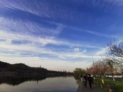 -西湖外事游船(花港观鱼码头)